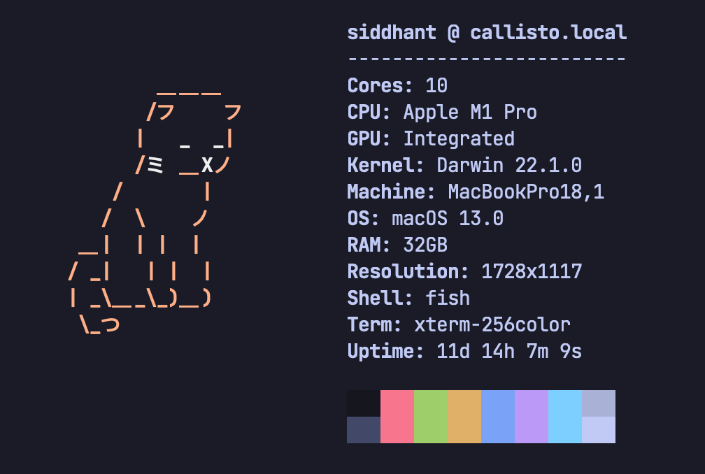Output of a terminal greeter